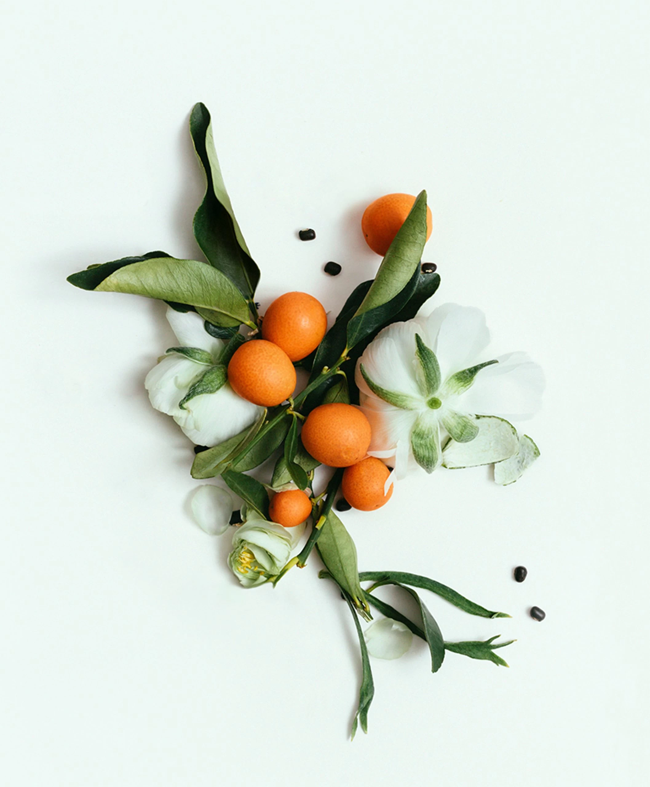 Corpus Long-Lasting Natuurlijke Deodorant Stick - Neroli 7 Corpus Long-Lasting Natuurlijke Deodorant Stick - Neroli - Afbeelding 5