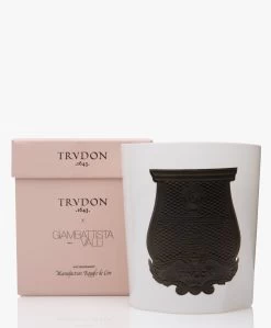 Trudon X Giambattista Valli Rose Poivrée Geurkaars - 270Gr -Boetiek Modewinkel 258ed179 98f2 4287 a734 f905d979347f 01