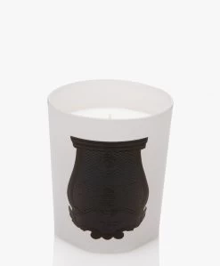 Trudon X Giambattista Valli Rose Poivrée Geurkaars - 270Gr