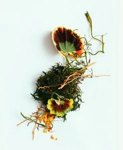 Corpus Long-Lasting Natuurlijke Deodorant Stick - The Botanist 11 Corpus Long-Lasting Natuurlijke Deodorant Stick - The Botanist -Boetiek Modewinkel 70de4d1e a1cf 4e07 b1f1 8f1241c09df8 06